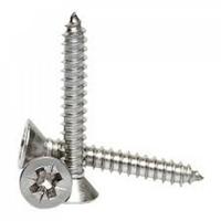 İNOX 3,9*25 PASL.YHB VİDA